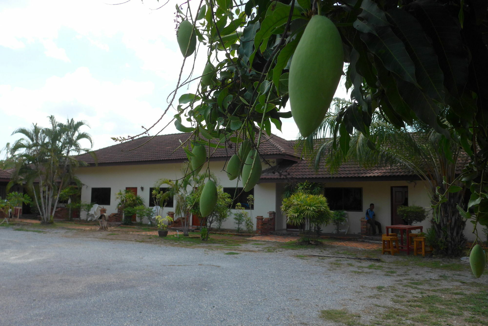 Forum House Hotel Krabi By Eksteriør billede